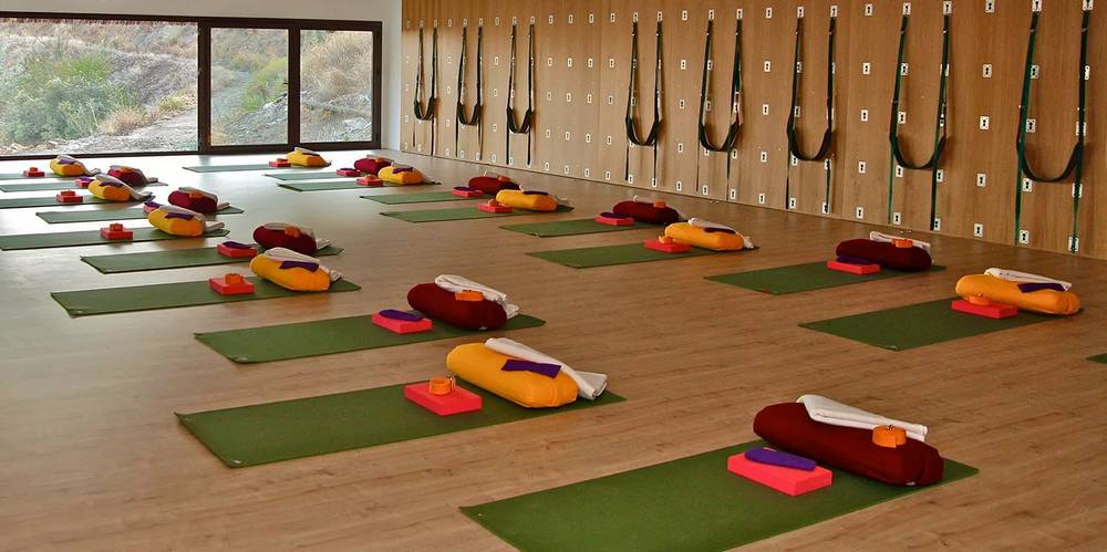 5 Fitness Training and Yoga provides yoga  in Austin